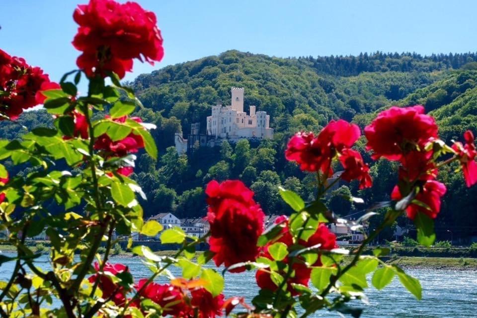 Villa Lahr Lahr  Екстер'єр фото